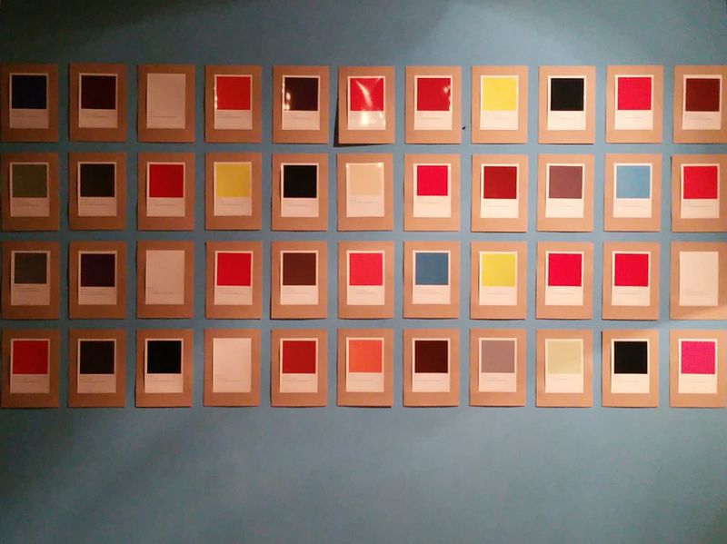 Installation view, Limitations of Liability, Harkat Studios, 2017