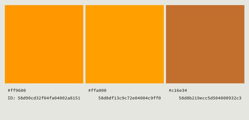Response Details, Limitations of Liability, Mumbai Assembly, 2017